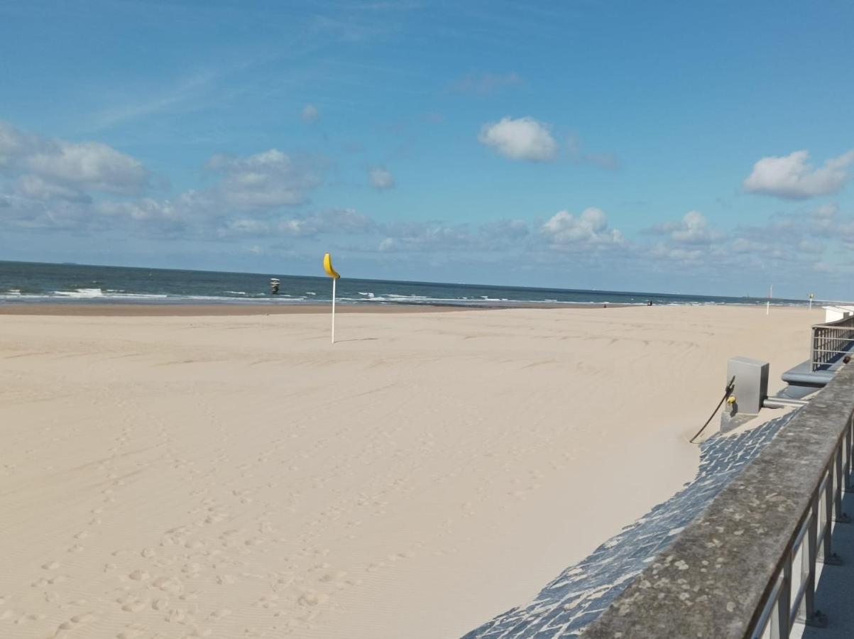 Apartmán Frontaal Zeezicht In De Strandjutter *
