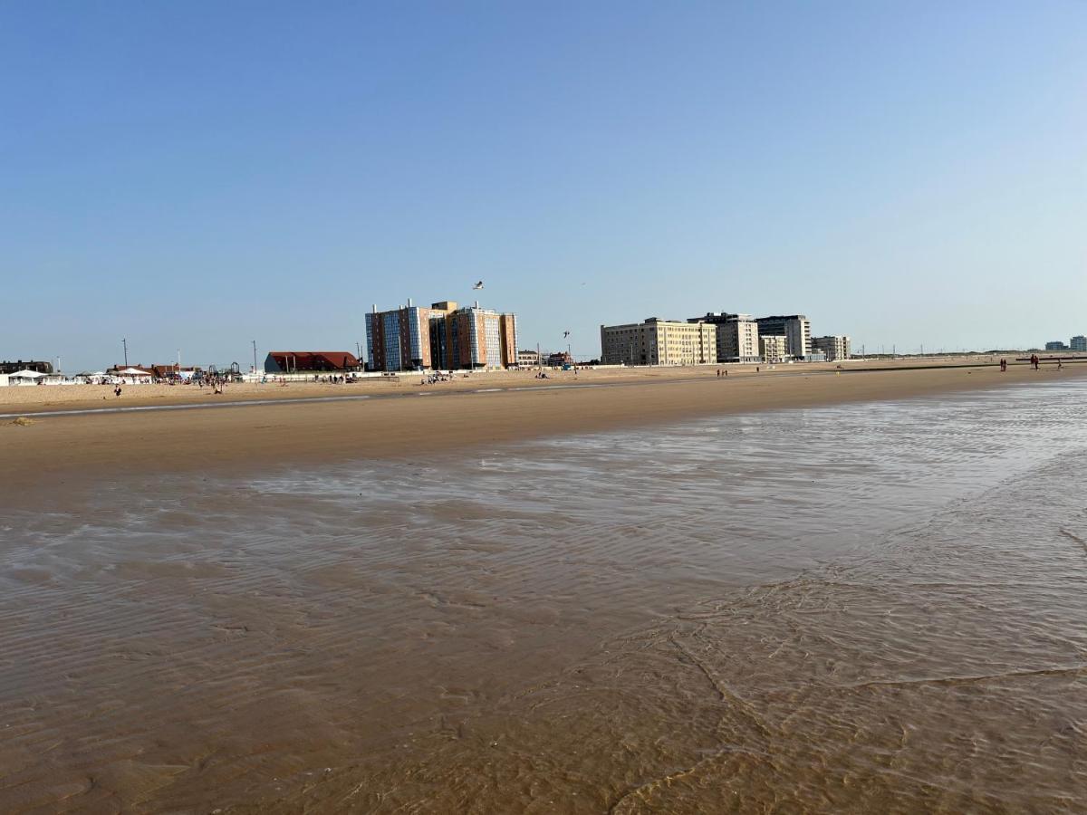 Apartmán Frontaal Zeezicht In De Strandjutter *